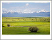 Jackson MT