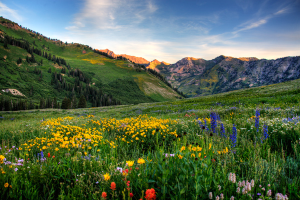 Albion Basin