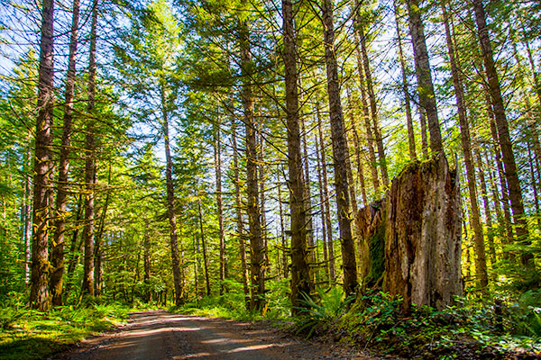 Oregon
