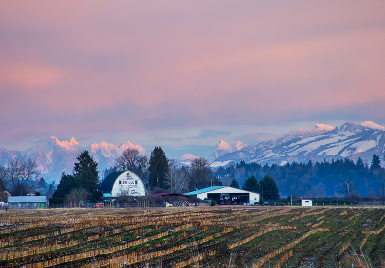 Snohomish
